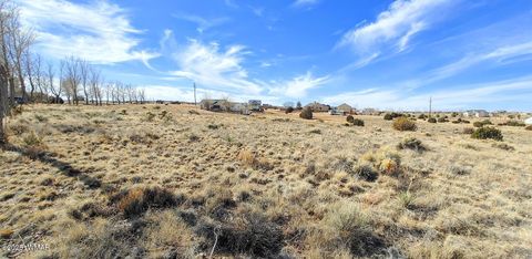 Tiny photo for 1960 S Blossom Lane, Taylor, AZ 85939 (MLS # 254430)