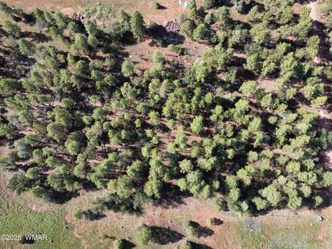 Photo of 2651 Alisa Lane, Lakeside, AZ 85929 (MLS # 258172)