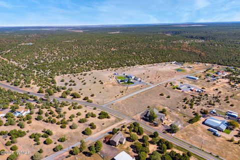 Tiny photo for 7106 Long Road, Show Low, AZ 85901 (MLS # 258408)