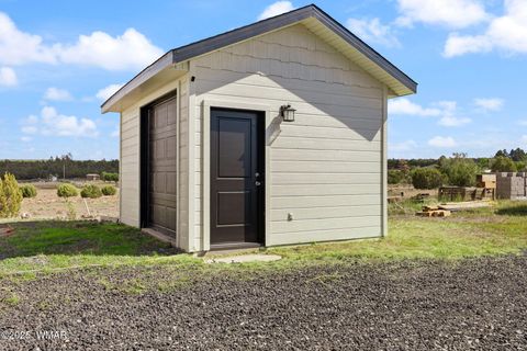 Tiny photo for 7106 Long Road, Show Low, AZ 85901 (MLS # 258408)