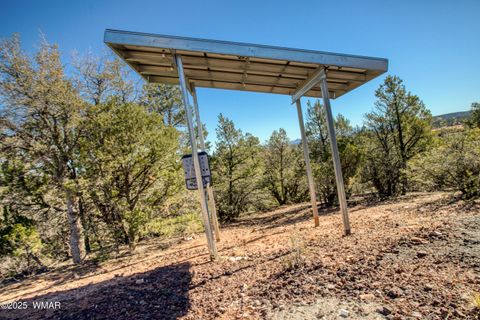Tiny photo for 1179 Burton Road, Show Low, AZ 85901 (MLS # 258931)
