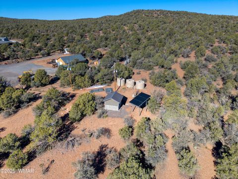 Tiny photo for 1179 Burton Road, Show Low, AZ 85901 (MLS # 258931)