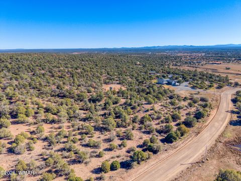 Tiny photo for 1179 Burton Road, Show Low, AZ 85901 (MLS # 258931)