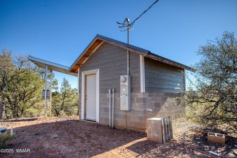 Tiny photo for 1179 Burton Road, Show Low, AZ 85901 (MLS # 258931)