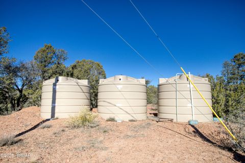 Tiny photo for 1179 Burton Road, Show Low, AZ 85901 (MLS # 258931)