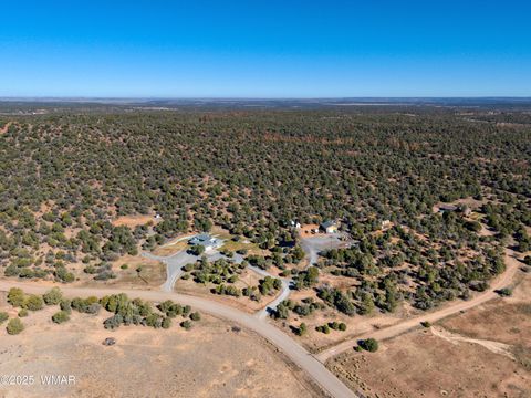 Tiny photo for 1179 Burton Road, Show Low, AZ 85901 (MLS # 258931)