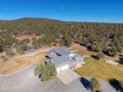 Tiny photo for 1179 Burton Road, Show Low, AZ 85901 (MLS # 258931)