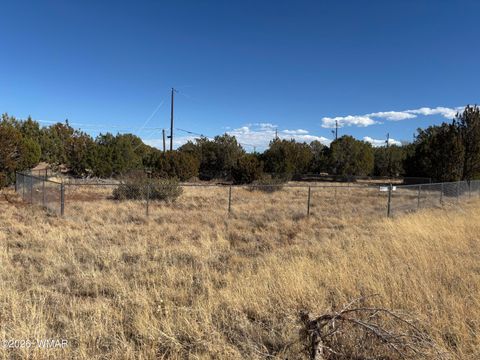 Tiny photo for 8263 Tahoe Place, Show Low, AZ 85901 (MLS # 259661)