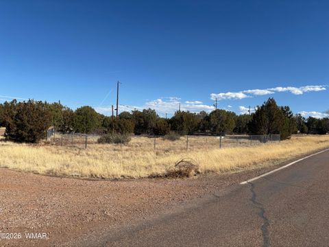 Photo of 8263 Tahoe Place, Show Low, AZ 85901 (MLS # 259661)