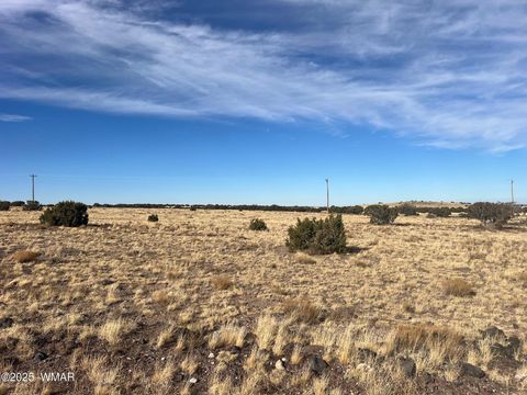 Tiny photo for 000 CR5139, Concho, AZ 85924 (MLS # 258938)