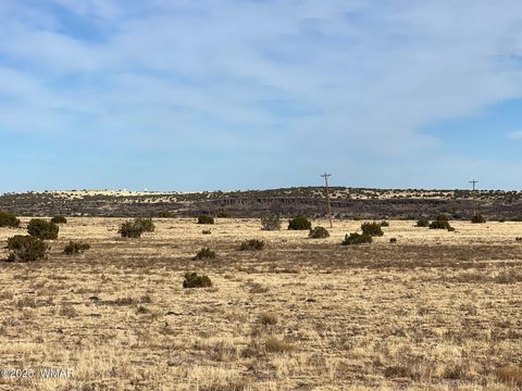 Tiny photo for 000 CR5139, Concho, AZ 85924 (MLS # 258938)