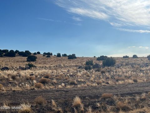Tiny photo for 000 CR5139, Concho, AZ 85924 (MLS # 258938)