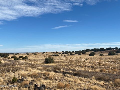 Tiny photo for 000 CR5139, Concho, AZ 85924 (MLS # 258938)
