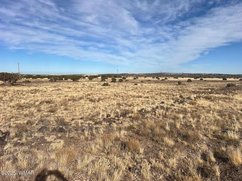 Tiny photo for 000 CR5139, Concho, AZ 85924 (MLS # 258938)