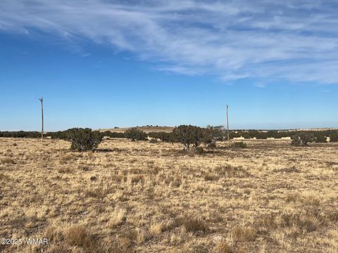 Tiny photo for 000 CR5139, Concho, AZ 85924 (MLS # 258938)