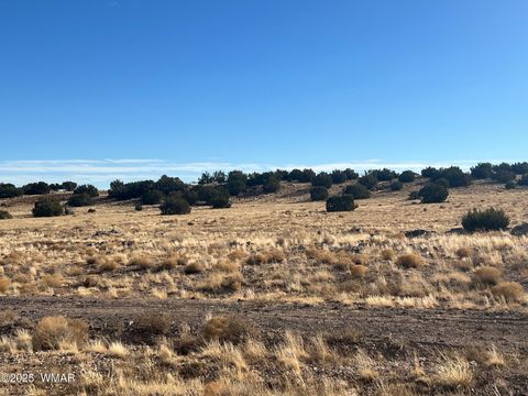 Photo of 000 CR5139, Concho, AZ 85924 (MLS # 258938)