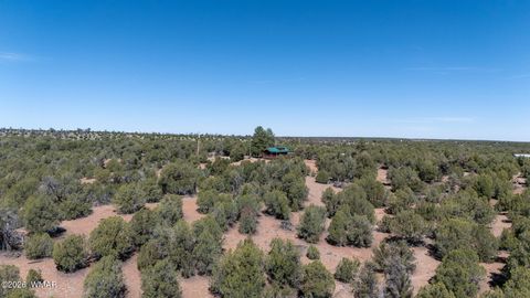 Tiny photo for 4935 Cemetery Road, Clay Springs, AZ 85923 (MLS # 260119)