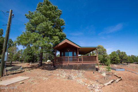 Tiny photo for 4935 Cemetery Road, Clay Springs, AZ 85923 (MLS # 260119)