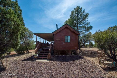Tiny photo for 4935 Cemetery Road, Clay Springs, AZ 85923 (MLS # 260119)