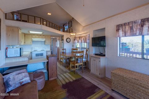 Tiny photo for 4935 Cemetery Road, Clay Springs, AZ 85923 (MLS # 260119)