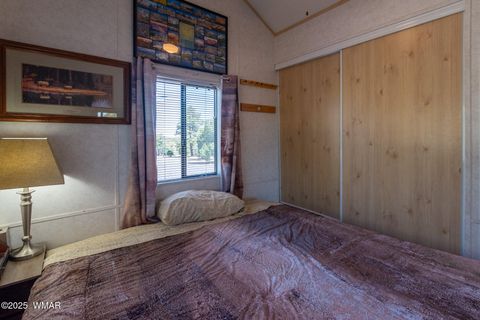 Tiny photo for 4935 Cemetery Road, Clay Springs, AZ 85923 (MLS # 260119)