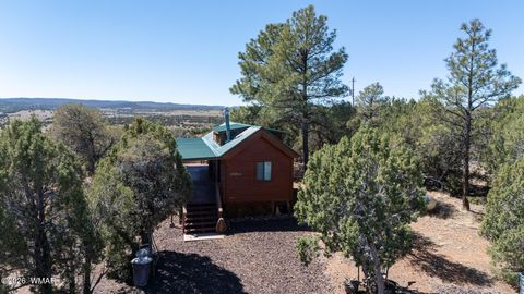 Tiny photo for 4935 Cemetery Road, Clay Springs, AZ 85923 (MLS # 260119)