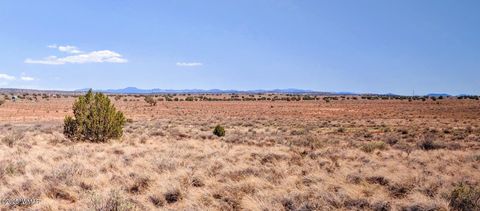 Tiny photo for TBD Golden Horse Ln, Snowflake, AZ 85937 (MLS # 257203)
