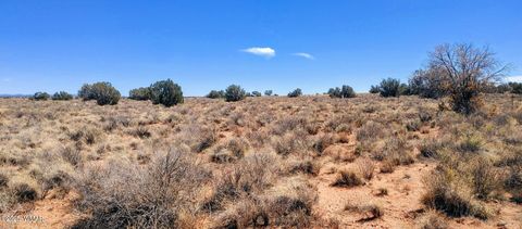 Tiny photo for TBD Golden Horse Ln, Snowflake, AZ 85937 (MLS # 257203)