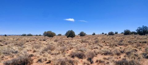 Tiny photo for TBD Golden Horse Ln, Snowflake, AZ 85937 (MLS # 257203)