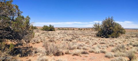 Tiny photo for TBD Golden Horse Ln, Snowflake, AZ 85937 (MLS # 257203)