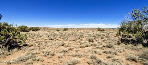 Tiny photo for TBD Golden Horse Ln, Snowflake, AZ 85937 (MLS # 257203)