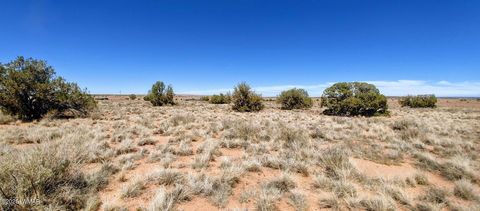 Tiny photo for TBD Golden Horse Ln, Snowflake, AZ 85937 (MLS # 257203)