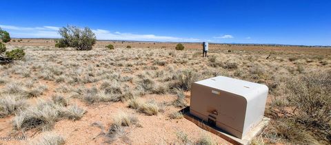 Photo of TBD Golden Horse Ln, Snowflake, AZ 85937 (MLS # 257203)