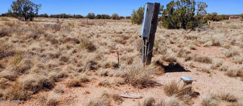 Tiny photo for TBD Golden Horse Ln, Snowflake, AZ 85937 (MLS # 257203)