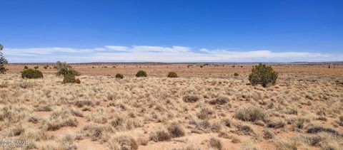 Tiny photo for TBD Golden Horse Ln, Snowflake, AZ 85937 (MLS # 257203)