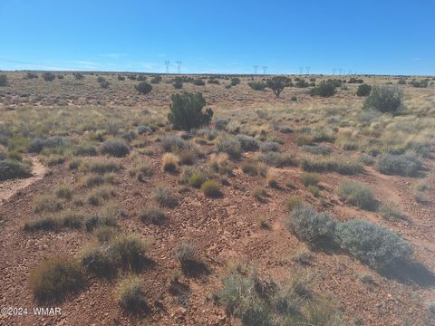 Tiny photo for 8028 Dawn Star Trail, Snowflake, AZ 85937 (MLS # 253623)