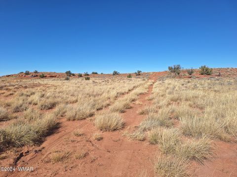 Tiny photo for 8028 Dawn Star Trail, Snowflake, AZ 85937 (MLS # 253623)