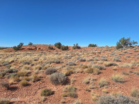 Tiny photo for 8028 Dawn Star Trail, Snowflake, AZ 85937 (MLS # 253623)