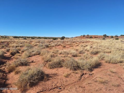 Tiny photo for 8028 Dawn Star Trail, Snowflake, AZ 85937 (MLS # 253623)
