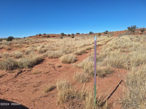 Tiny photo for 8028 Dawn Star Trail, Snowflake, AZ 85937 (MLS # 253623)