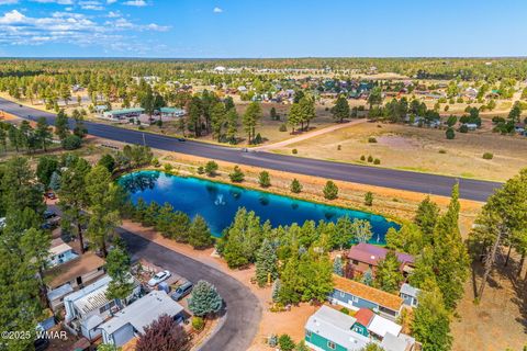 Tiny photo for 2274 Water N Hole Road, Overgaard, AZ 85933 (MLS # 258059)