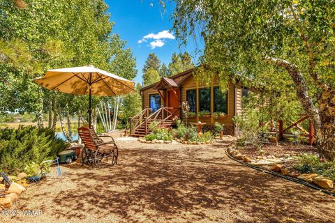 Tiny photo for 2274 Water N Hole Road, Overgaard, AZ 85933 (MLS # 258059)