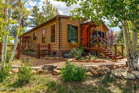 Photo of 2274 Water N Hole Road, Overgaard, AZ 85933 (MLS # 258059)