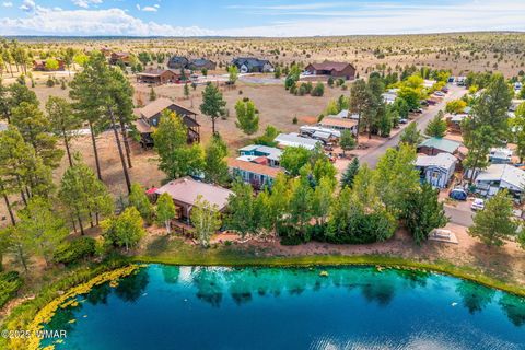Tiny photo for 2274 Water N Hole Road, Overgaard, AZ 85933 (MLS # 258059)