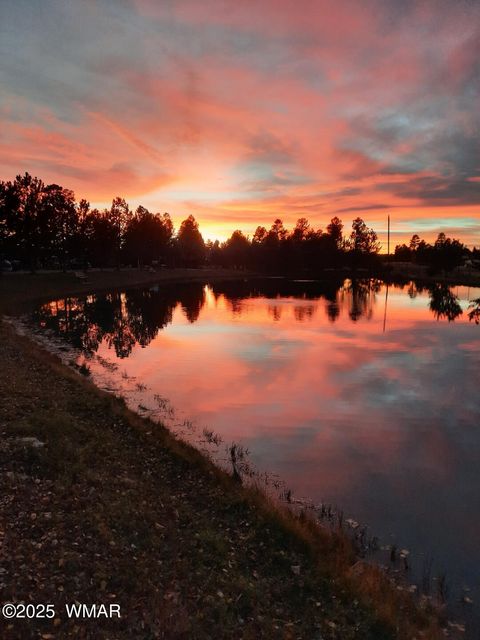 Tiny photo for 2274 Water N Hole Road, Overgaard, AZ 85933 (MLS # 258059)