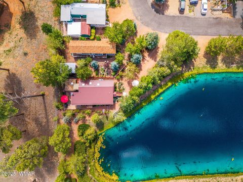 Tiny photo for 2274 Water N Hole Road, Overgaard, AZ 85933 (MLS # 258059)