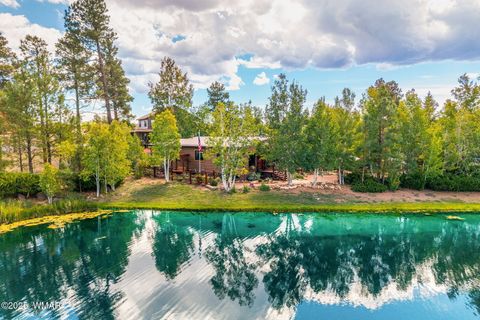 Tiny photo for 2274 Water N Hole Road, Overgaard, AZ 85933 (MLS # 258059)