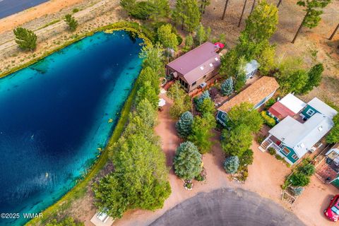 Tiny photo for 2274 Water N Hole Road, Overgaard, AZ 85933 (MLS # 258059)