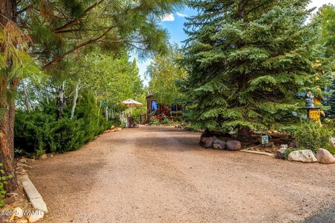 Tiny photo for 2274 Water N Hole Road, Overgaard, AZ 85933 (MLS # 258059)