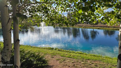Tiny photo for 2274 Water N Hole Road, Overgaard, AZ 85933 (MLS # 258059)